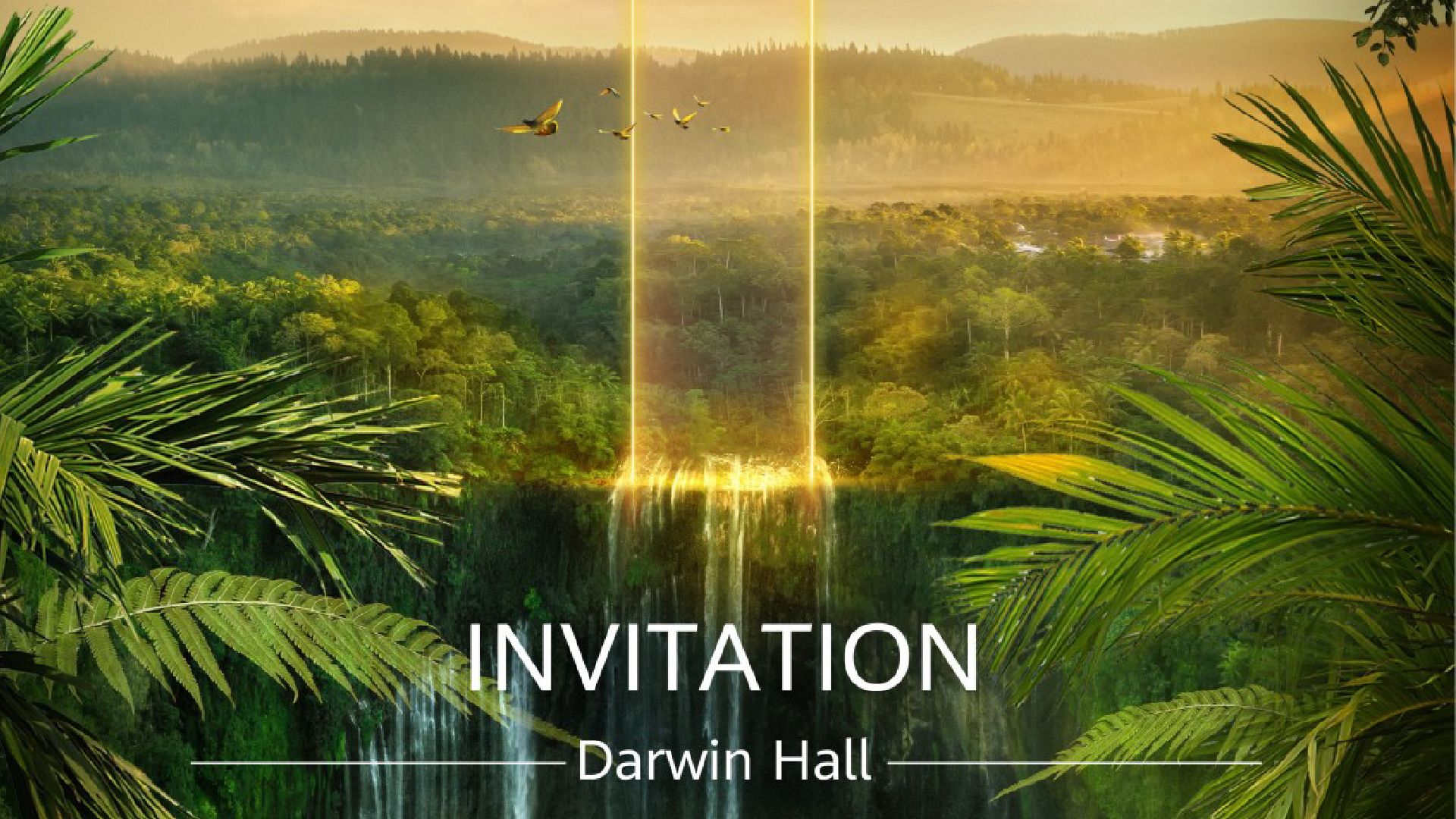 品牌与视觉创意 · 展会多屏延展